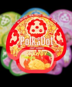 PolkaDot Chamoy Mango Craft Gummies